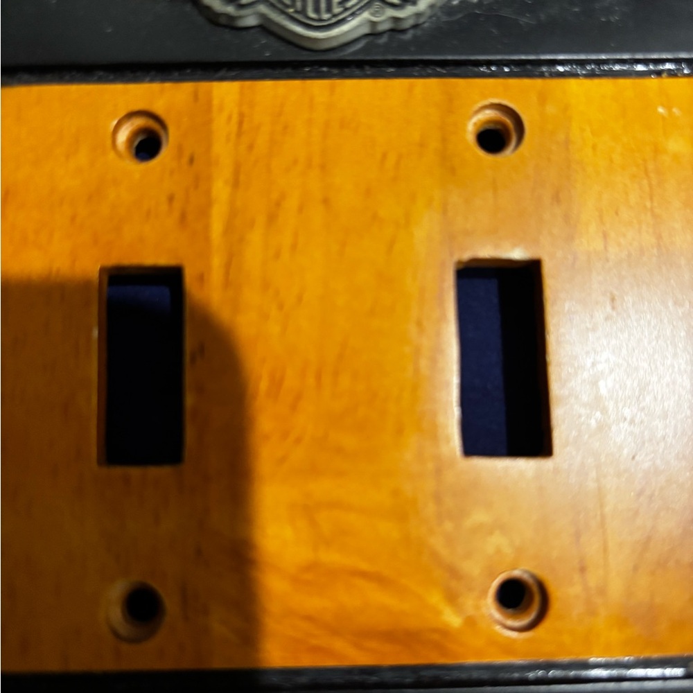Harley-Davidson Bundle Double Toggle Switch Cover… - image 5
